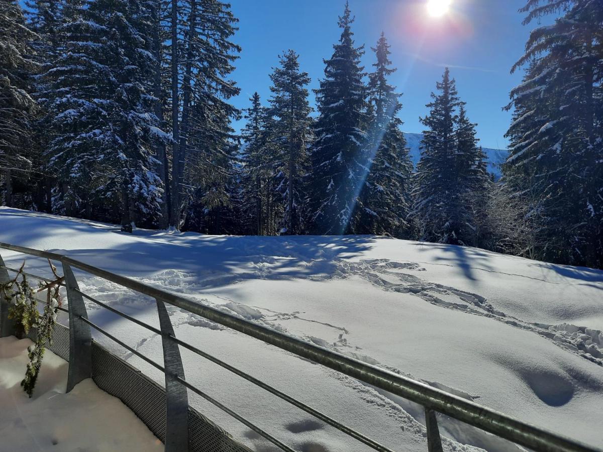 La Petite Foret Chamrousse 1700 외부 사진