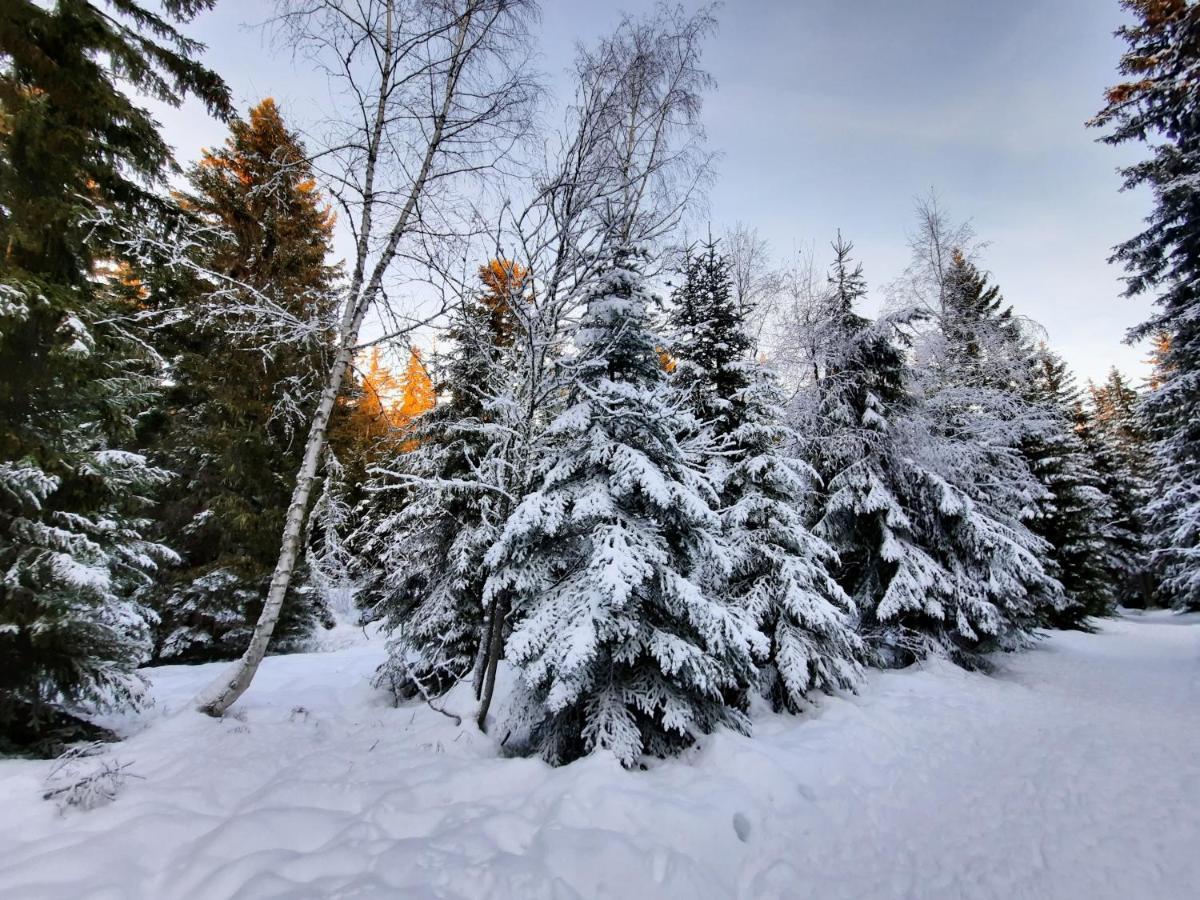 La Petite Foret Chamrousse 1700 외부 사진